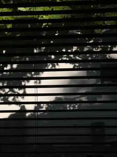 Sun-dappled shadows dance through the blinds.